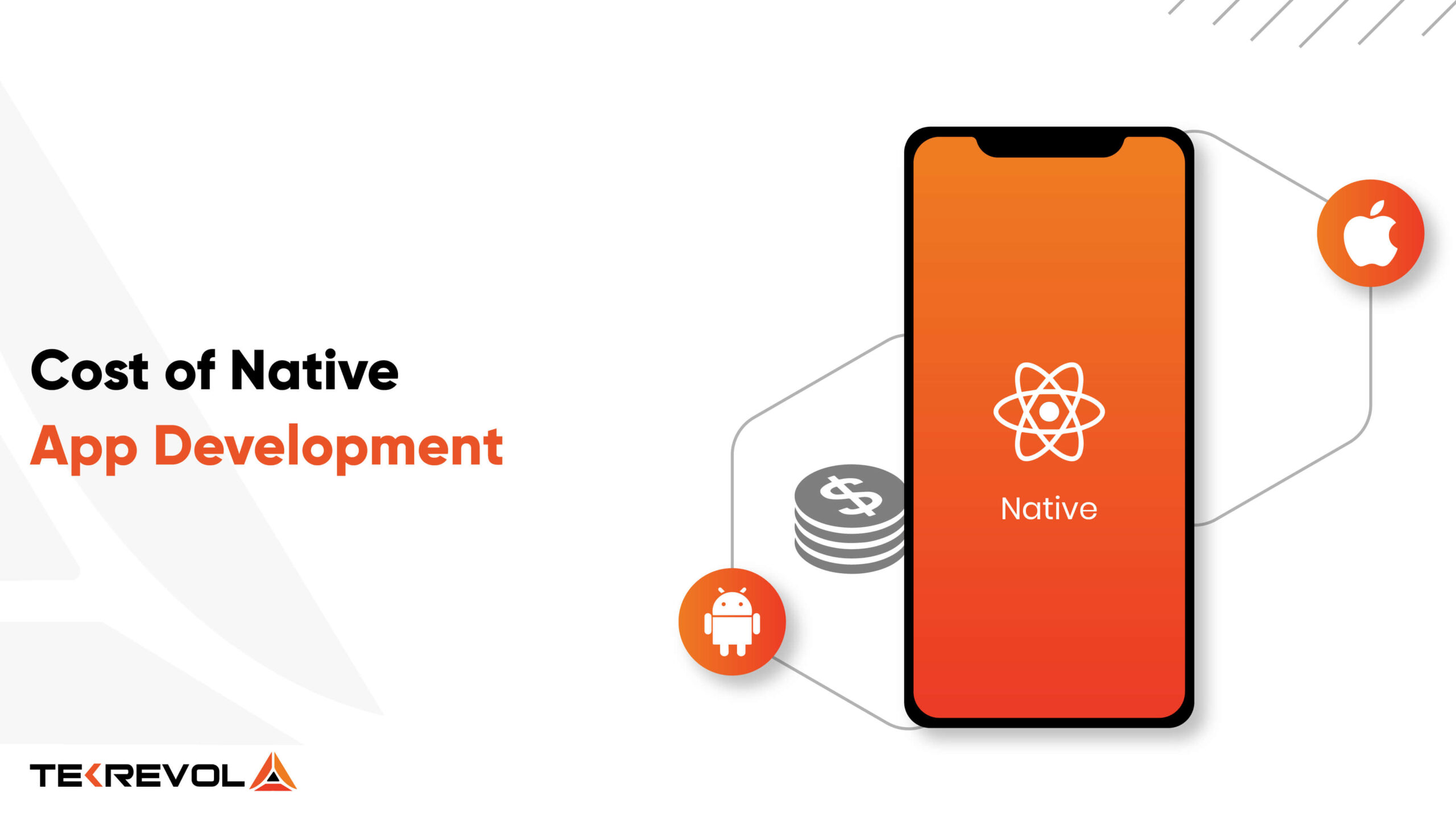 cost-of-native-app-development-detailed-guide-tekrevol